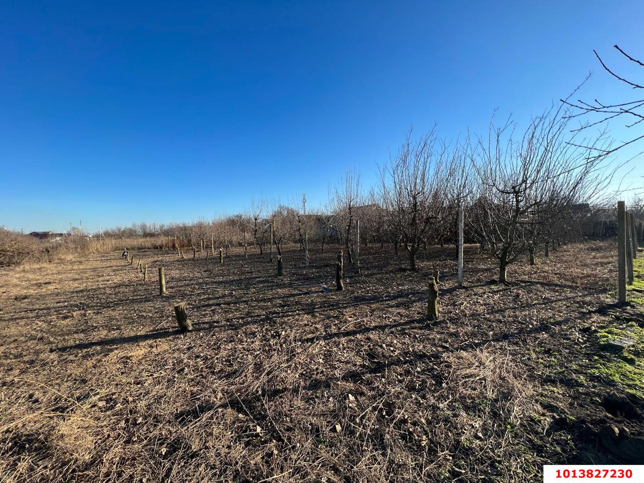 Фото №12: Дом 46 м² + 23.73 сот. - Петровская, ул. Гривенская, 43