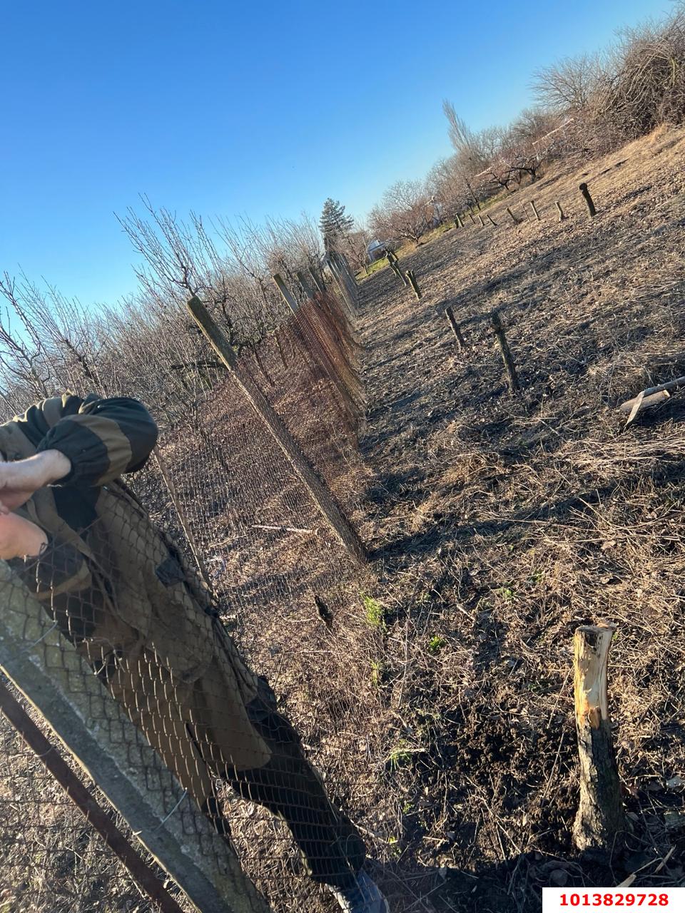 Фото №13: Земельный участок 24.37 сот. - Петровская, ул. Гривенская, 32