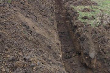 Фото №5: Земельный участок 24.37 сот. - Петровская, ул. Гривенская, 32