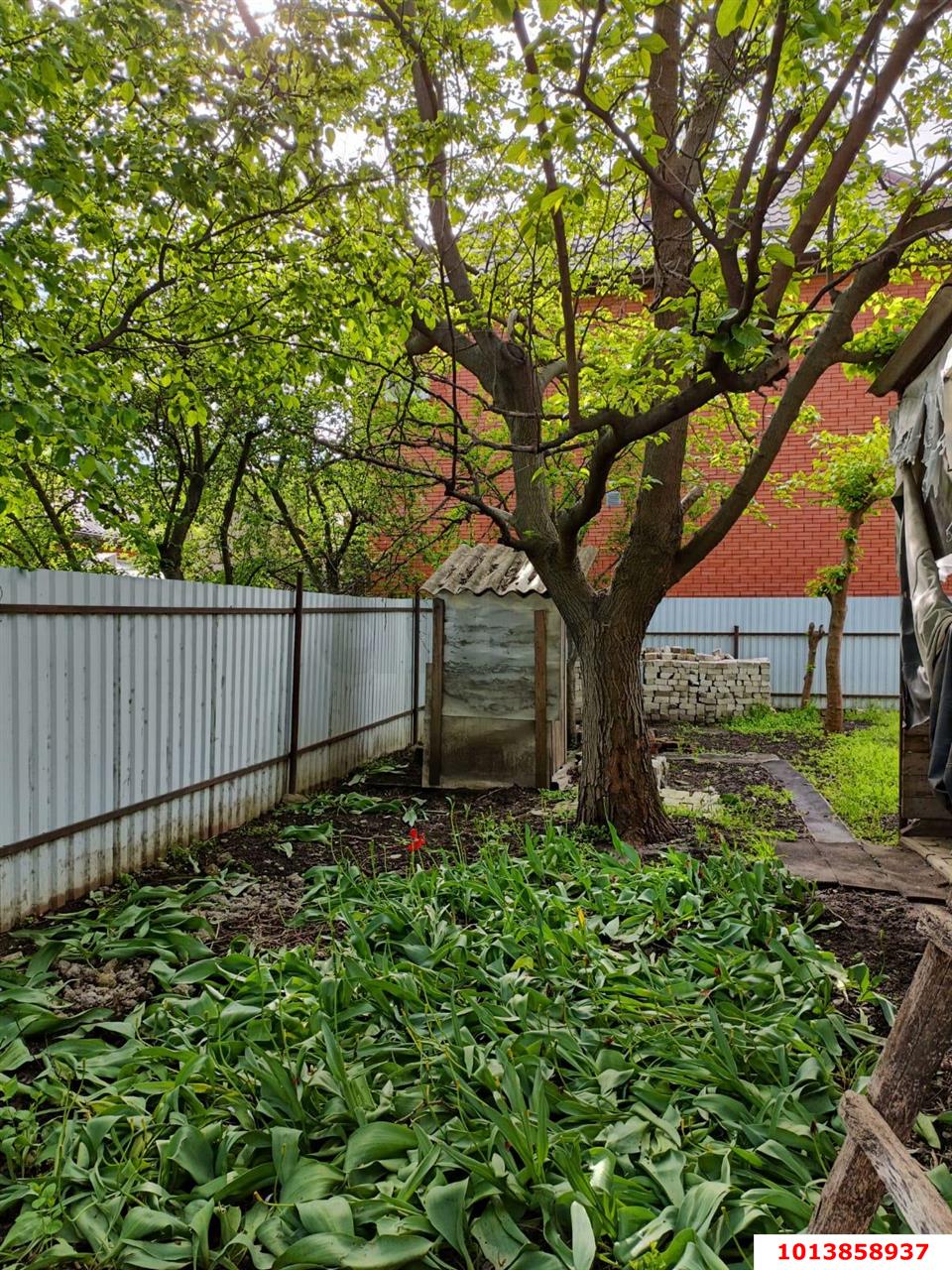 Фото №5: Дом 111 м² + 9.17 сот. - Краснодар, Садовод, ул. Главная, 606