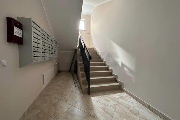 Фото №3: 1-комнатная квартира 51 м² - Краснодар, ж/м Пашковский, ул. Криничная, 134