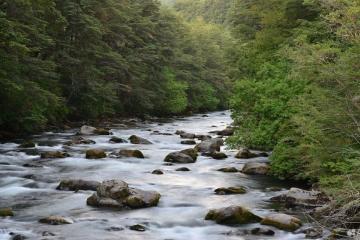 Фото №3: Земельный участок 7.1 сот. - Городок, 