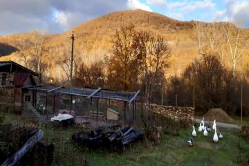 Фото №2: Земельный участок 10 сот. - Городок, 