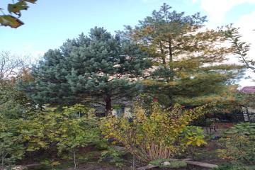 Фото №4: Дом 60 м² - Полковничий, мкр. СТ Горянка, 10