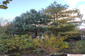 Фото №4: Дом 60 м² - Полковничий, мкр. СТ Горянка, 10