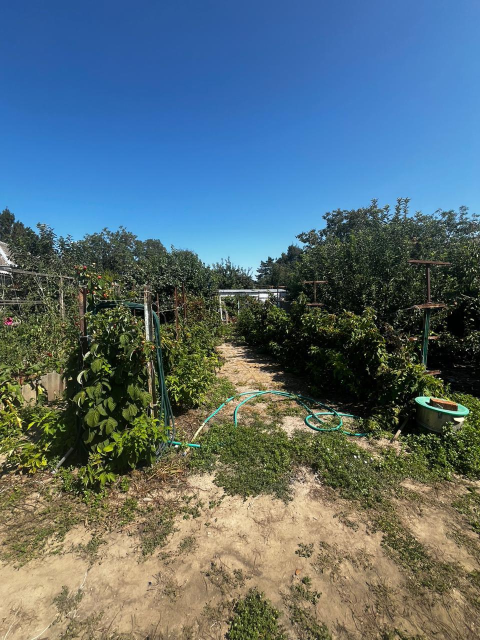 Фото №8: Дом 80 м² + 9.25 сот. - Варениковская, ул. Тельмана, 12