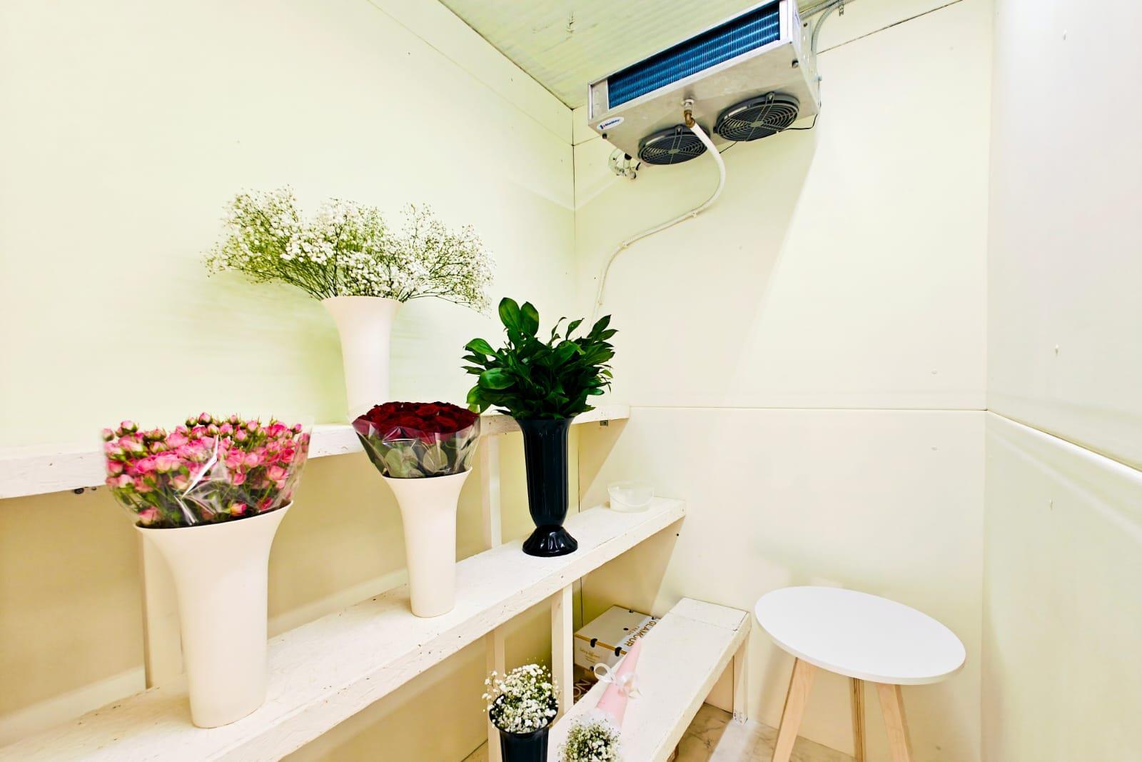 Фото №9: Коммерция 50 м² - Краснодар, Центральный внутригородской округ, мкр. Дубинка, ул. Димитрова, 83