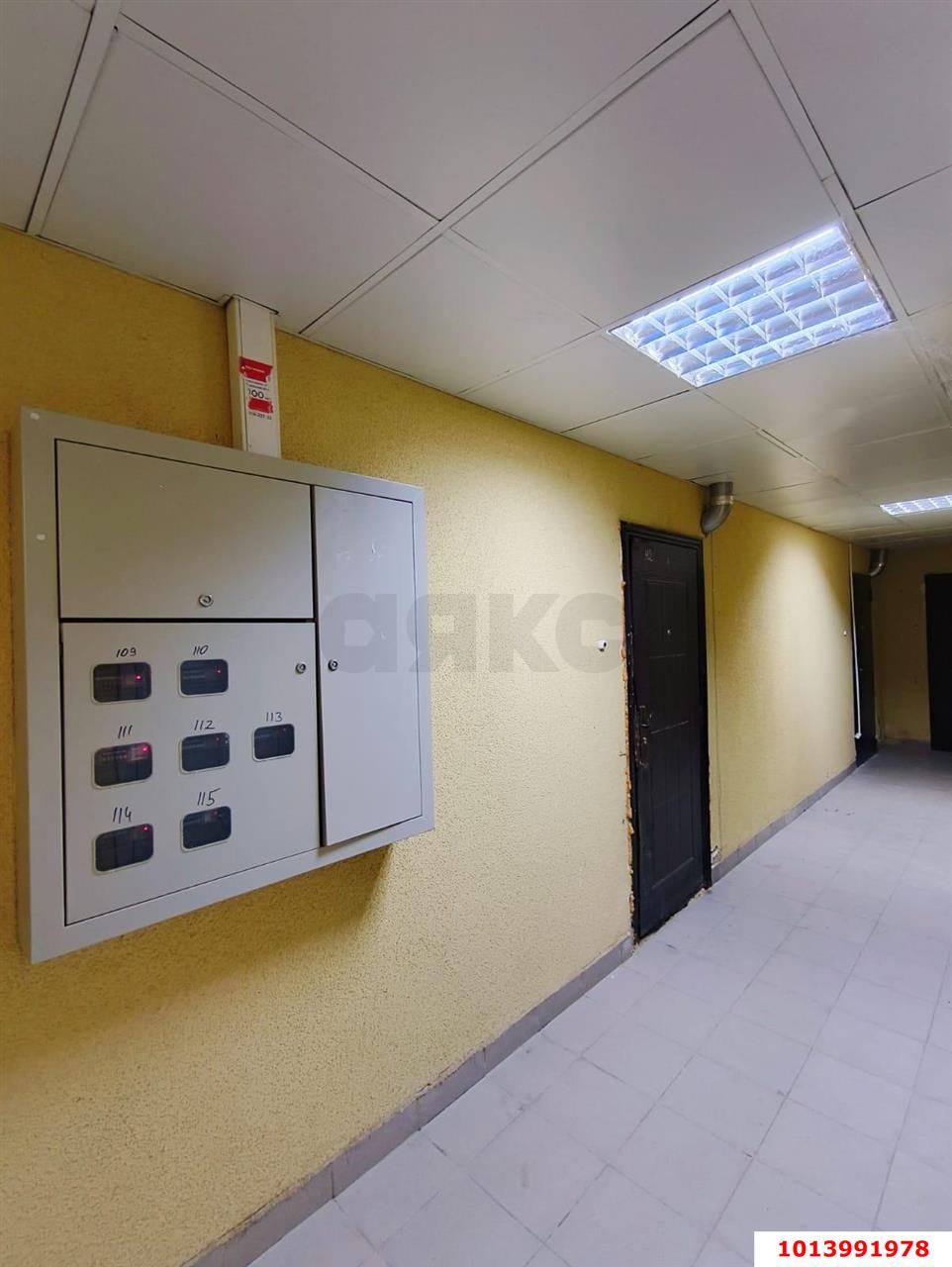 Фото №3: 1-комнатная квартира 39 м² - Знаменский, жилой комплекс Первомайский, ул. Первомайская, 36/1
