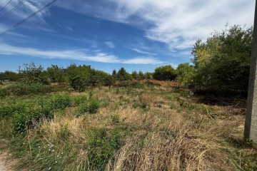 Фото №3: Личное подсобное хозяйство 6 сот. - Октябрьский, ст Краснодарский ЗИП-20, ул. Яблоневая, 136