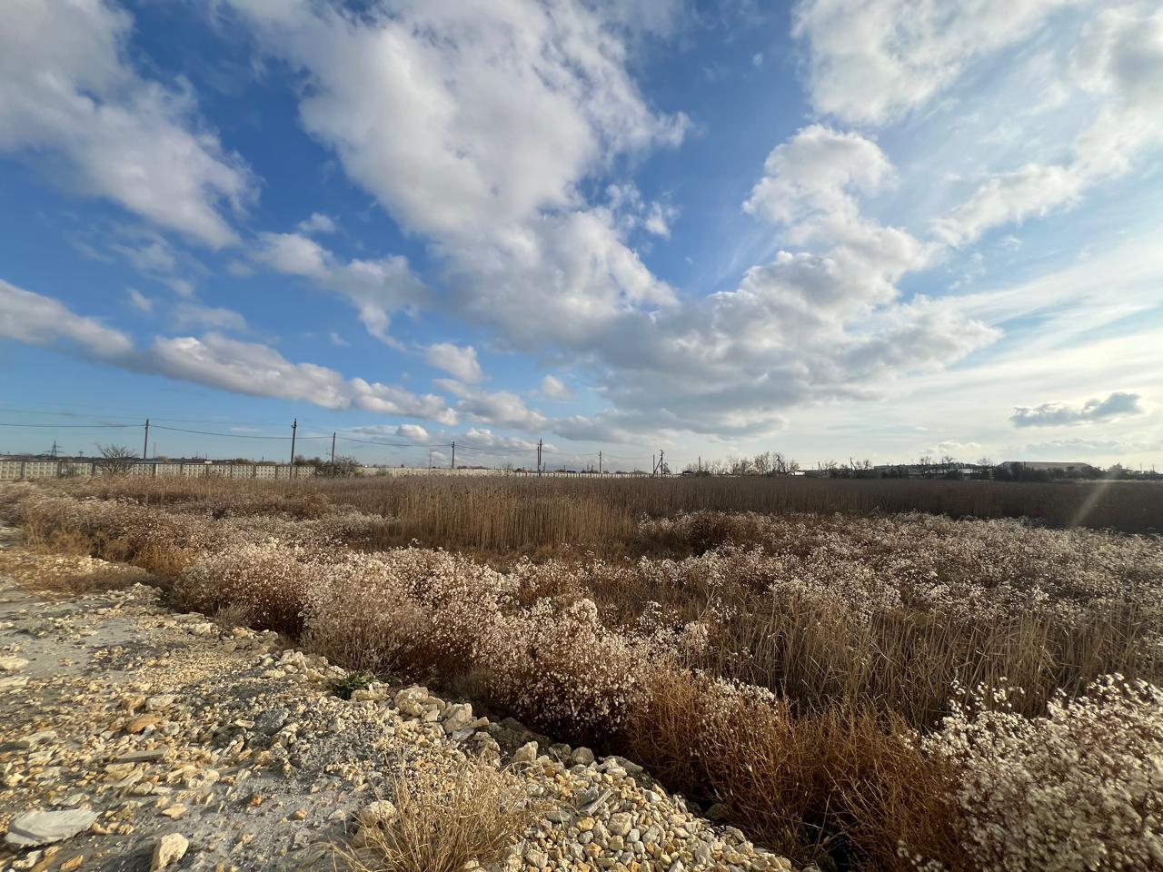 Фото №3: Коммерция 270 м² - Темрюк