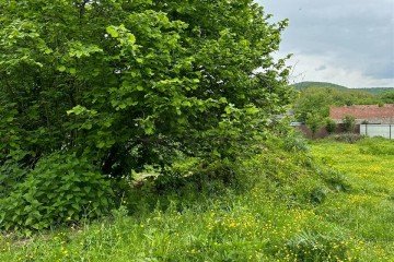 Фото №5: Земельный участок под ИЖС 16.61 сот. - Тхамаха, ул. Комсомольская, 2