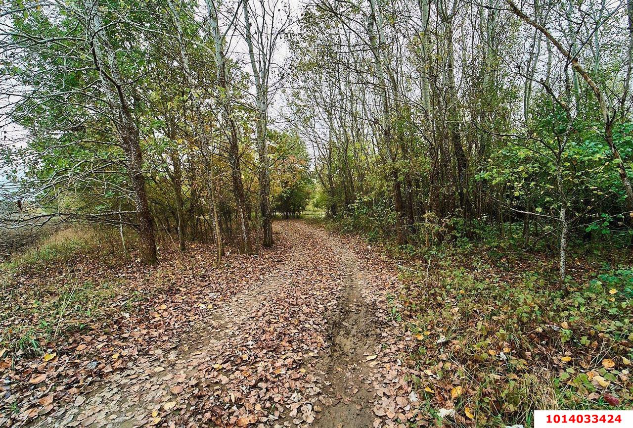 Фото №10: Земельный участок под ИЖС - Краснодарский край муниципальный округ Горячий Ключ