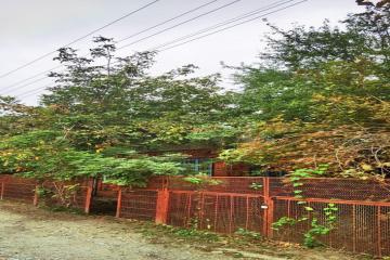 Фото №1: Дом 29 м² - Знаменский, ст Краснодарсельмаш-2, ул. Короткая, 284