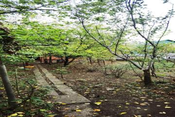 Фото №3: Дом 29 м² - Знаменский, ст Краснодарсельмаш-2, ул. Короткая, 284