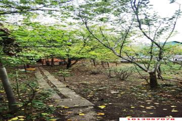 Фото №3: Дом 29 м² - Знаменский, ст Краснодарсельмаш-2, ул. Короткая, 284