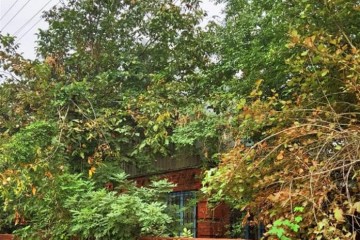 Фото №1: Дом 29 м² - Знаменский, ст Краснодарсельмаш-2, ул. Короткая, 284