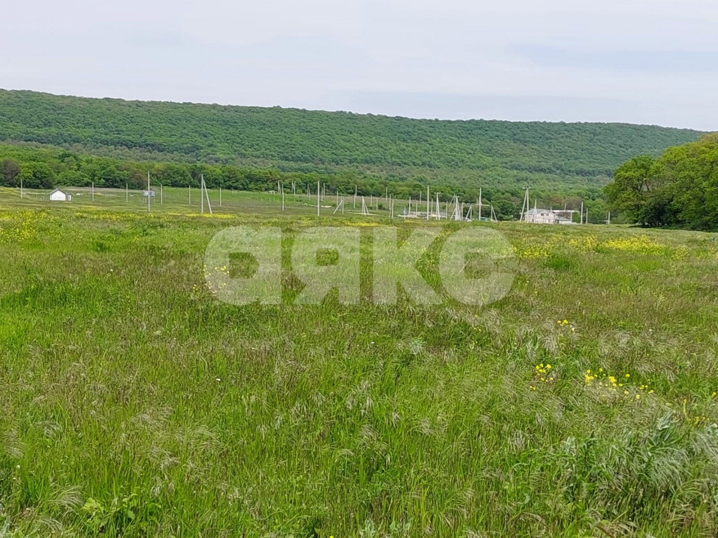 Фото №4: Участок садоводство 6 сот. - Краснодарский край муниципальное образование Новороссийск