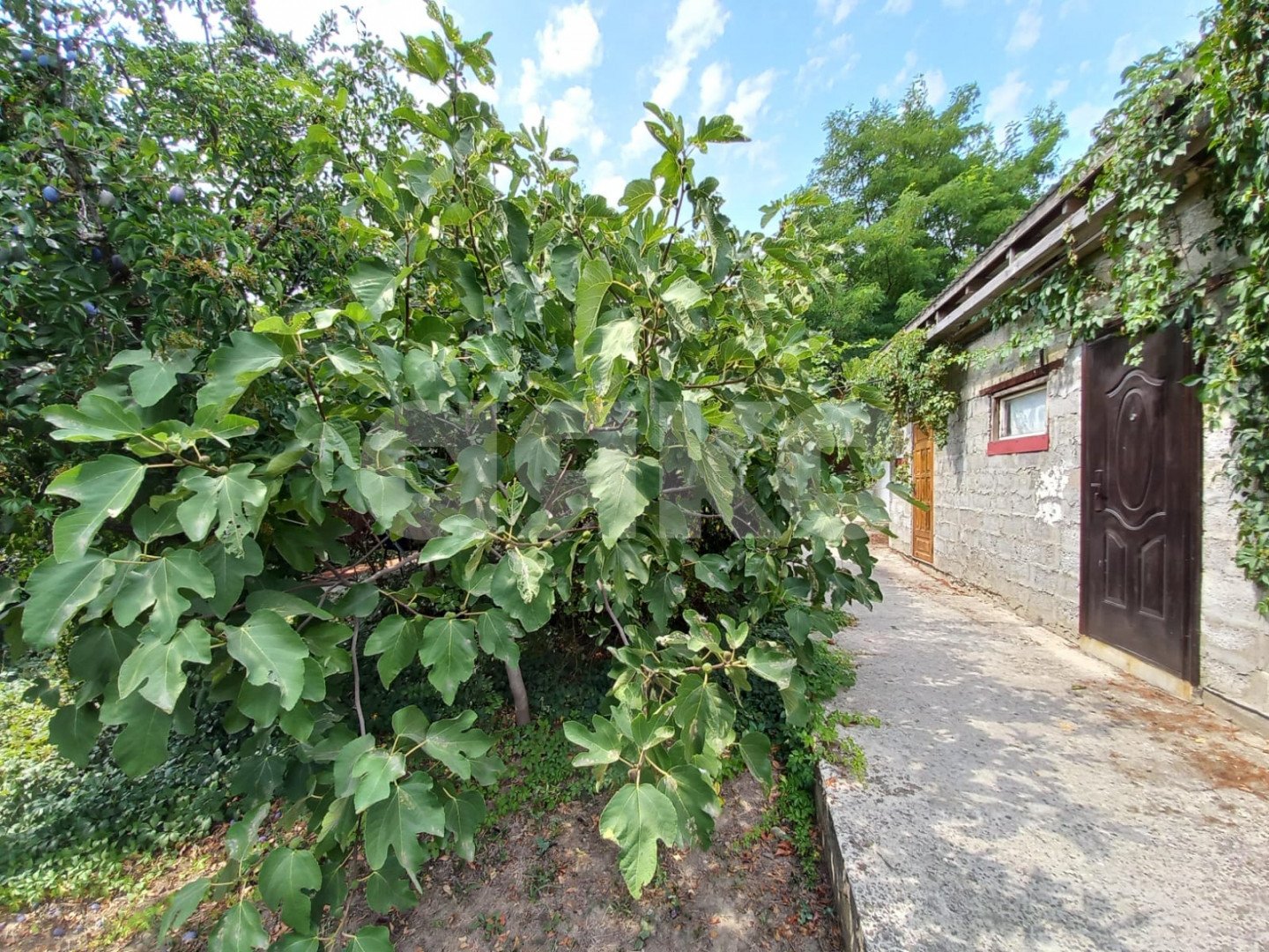 Фото №24: Дом 82 м² + 7 сот. - Пятихатки, ул. Джеметинская, 80