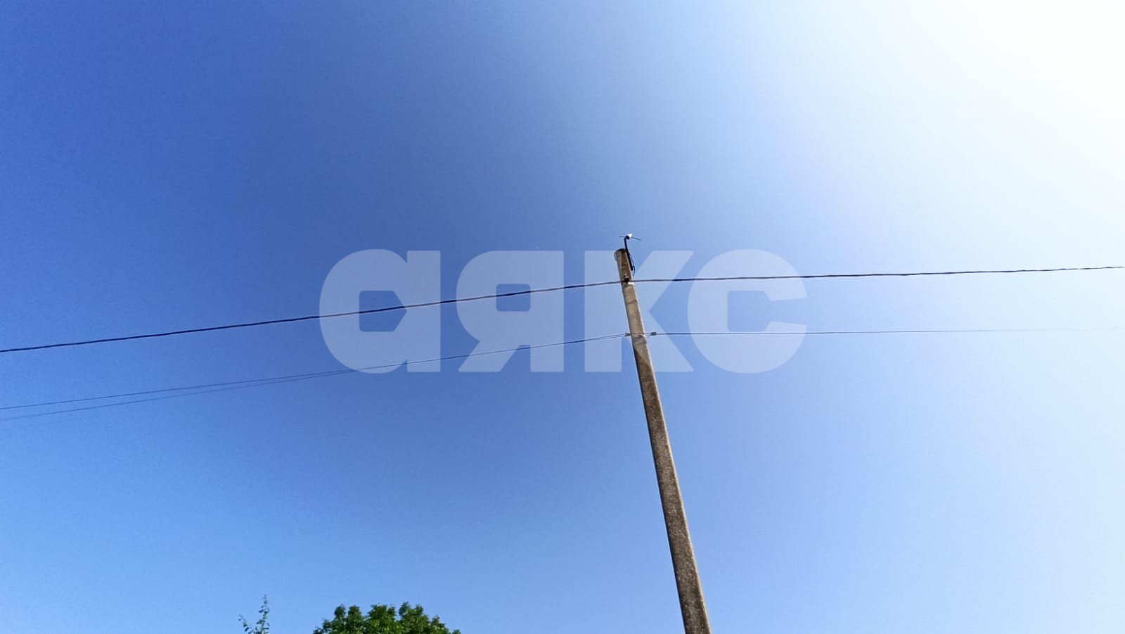 Фото №4: Земельный участок под ИЖС 6 сот. - садовые участки Лесник, 138