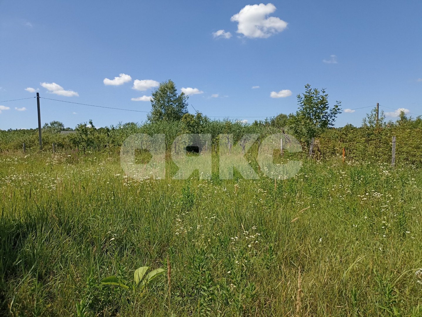 Фото №4: Участок садоводство 6 сот. - Мебельщик, 