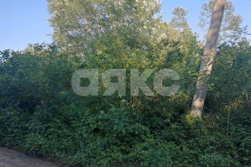 Фото №2: Земельный участок под ИЖС - Саратовская, мкр. 4-й, ул. Брусничная