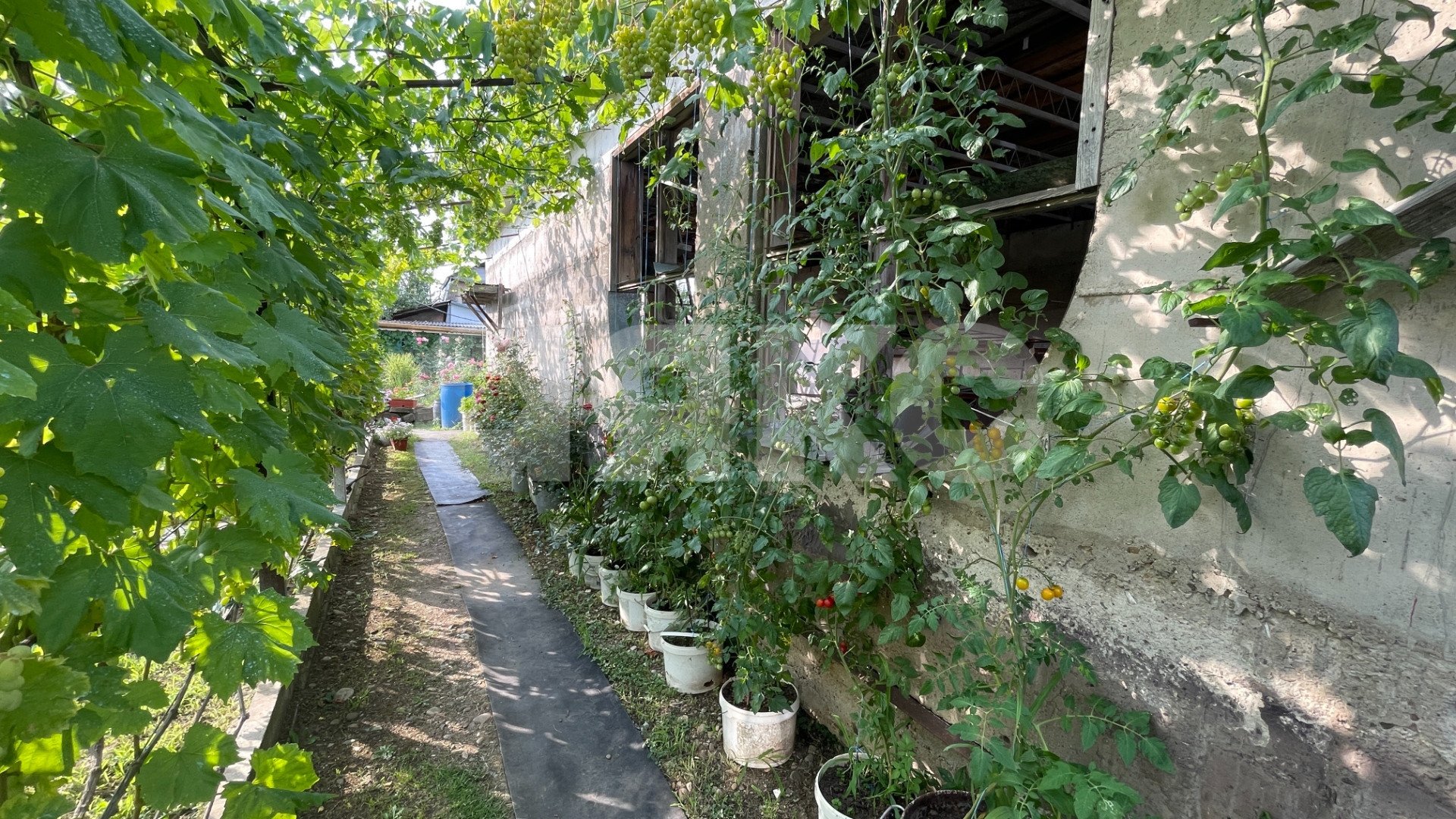 Фото №5: Земельный участок под ИЖС 15 сот. - Горячий Ключ, жилой комплекс Дубрава, ул. Ярославского
