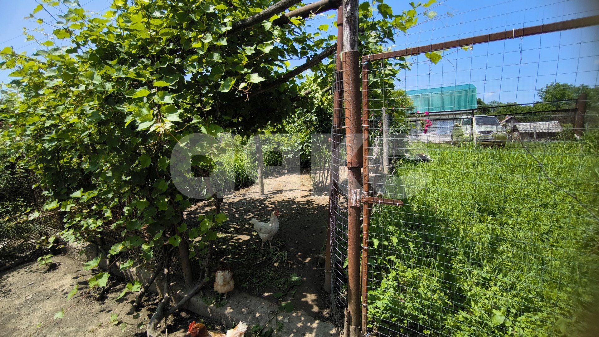 Фото №15: Дом 60 м² + 25 сот. - Кутаис, ул. Калинина