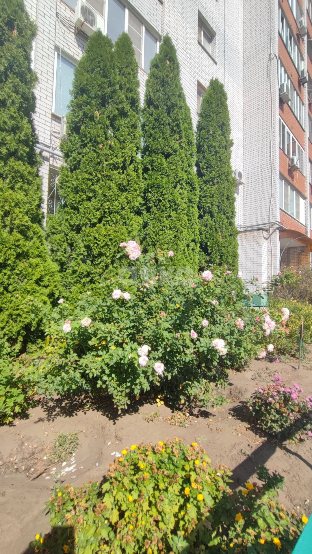 Фото №29: 2-комнатная квартира 80 м² - Волгоград, Ангарский, ул. Куринская, 19