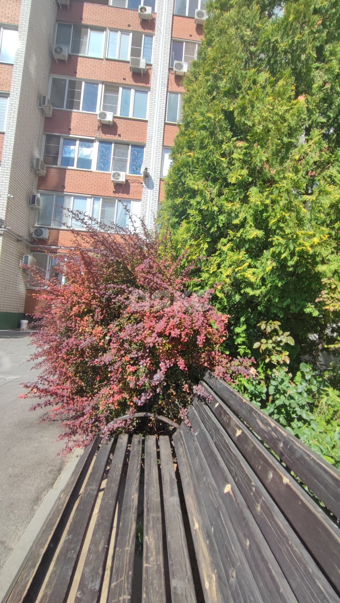Фото №27: 2-комнатная квартира 80 м² - Волгоград, Ангарский, ул. Куринская, 19