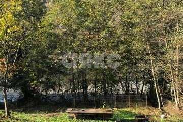 Фото №4: Участок садоводство - Пластунка, счт Горизонт-3, 