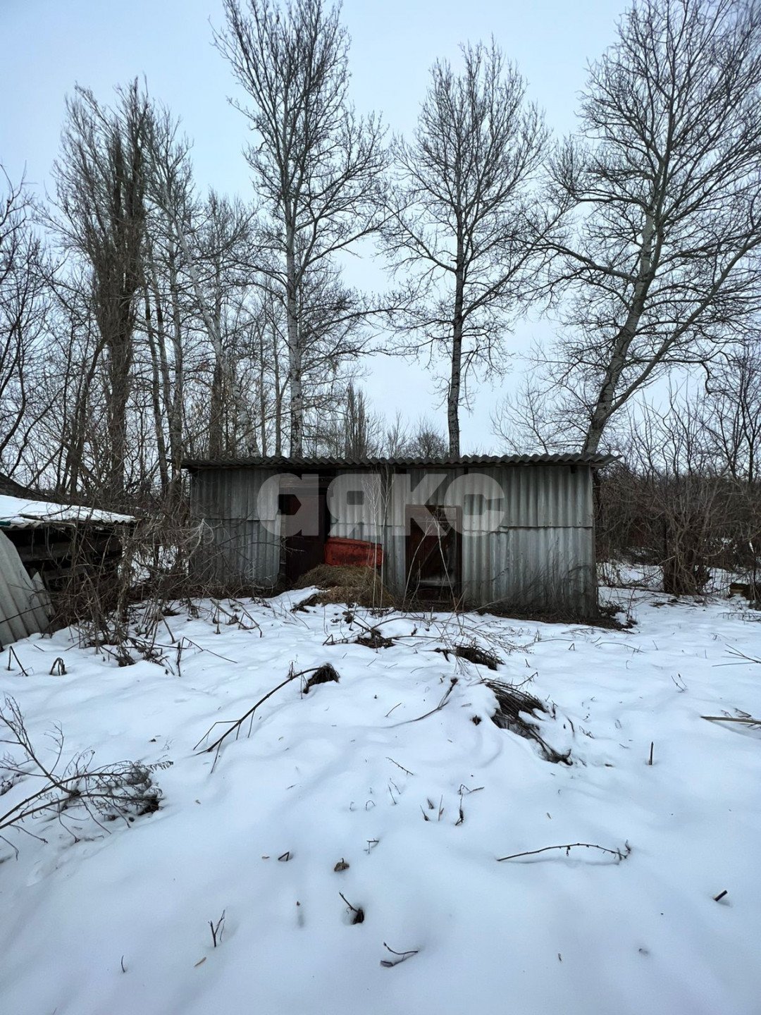 Фото №10: Личное подсобное хозяйство 50 сот. - Николовка, ул. Торговая, 19