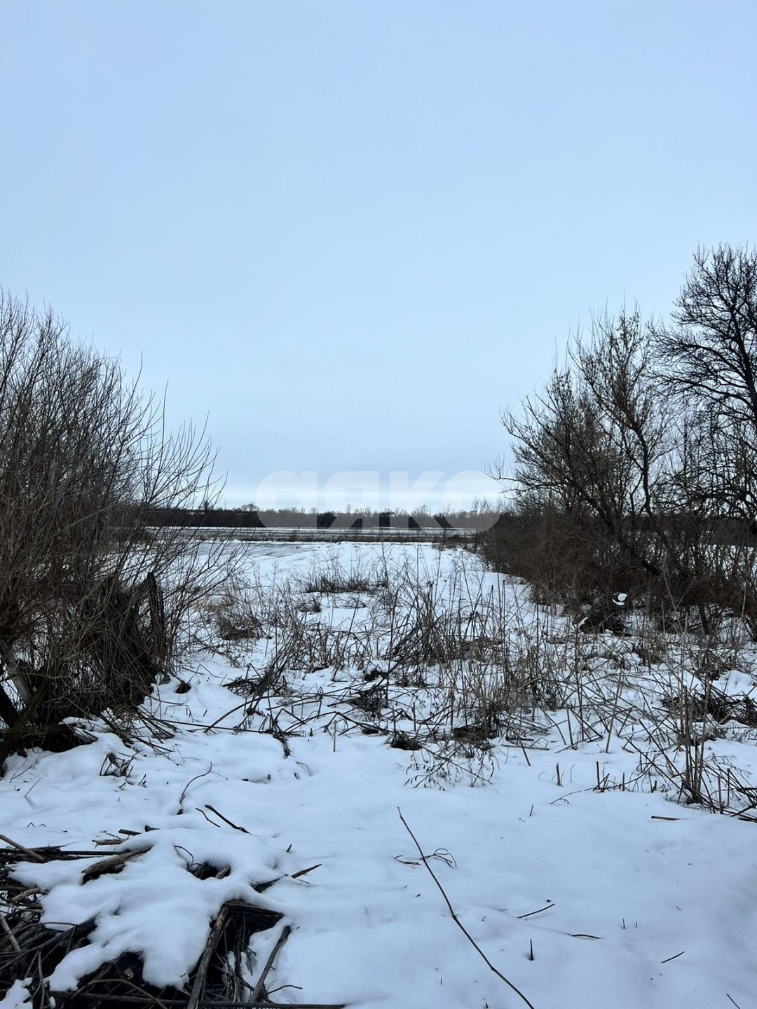 Фото №13: Личное подсобное хозяйство 50 сот. - Николовка, ул. Торговая, 19
