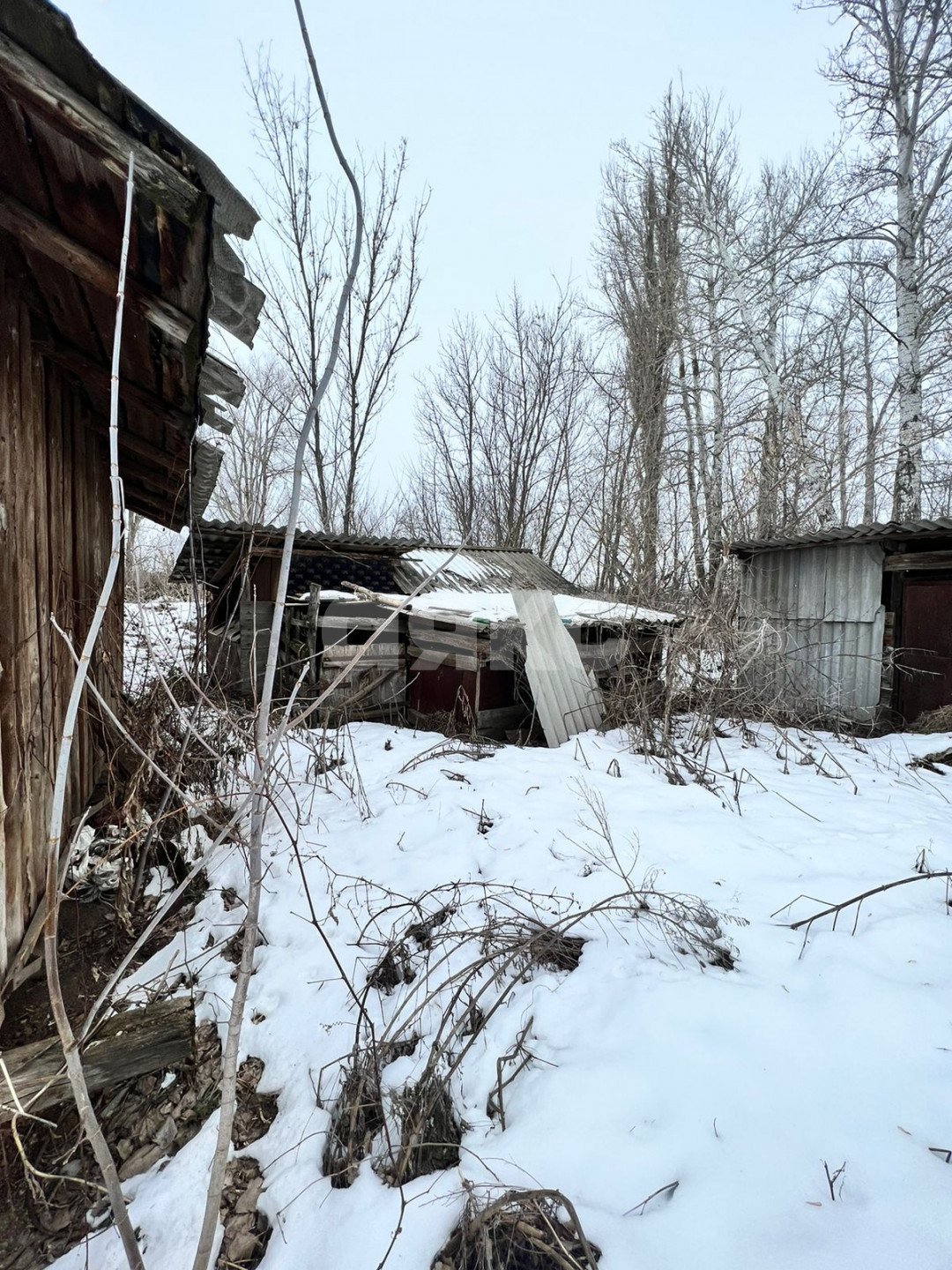Фото №12: Личное подсобное хозяйство 50 сот. - Николовка, ул. Торговая, 19