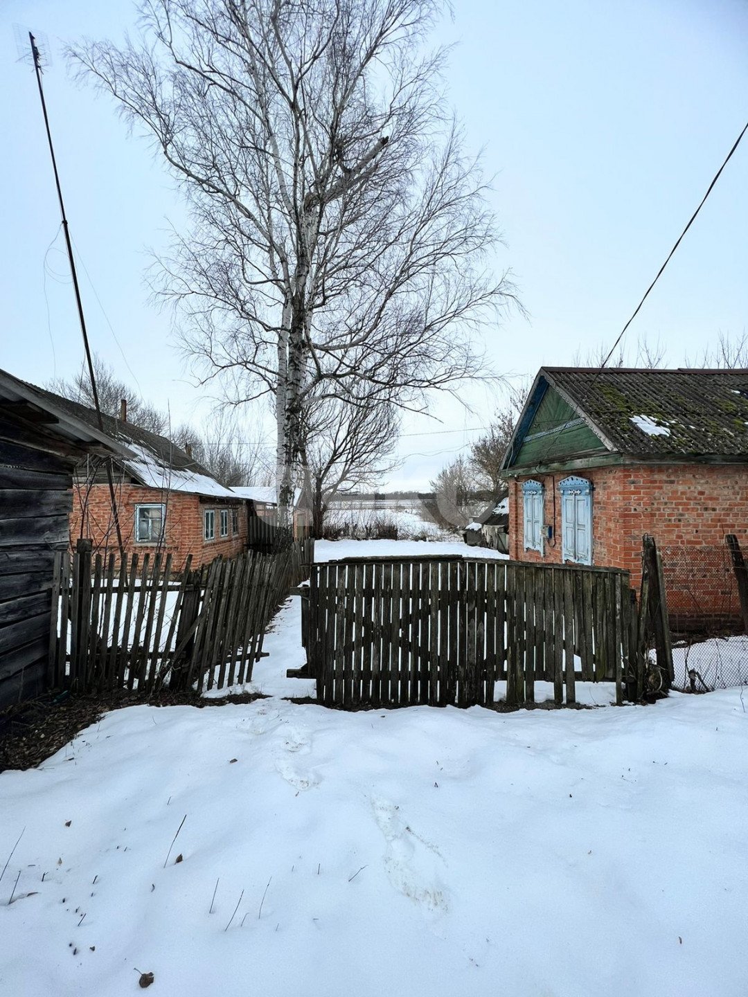 Фото №5: Личное подсобное хозяйство 50 сот. - Николовка, ул. Торговая, 19