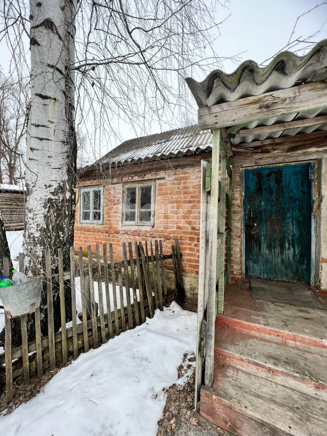 Фото №4: Личное подсобное хозяйство 50 сот. - Николовка, ул. Торговая, 19