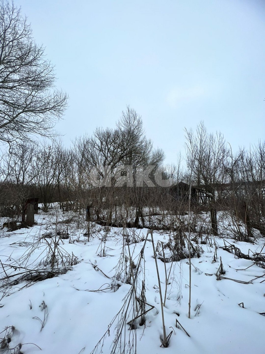 Фото №14: Личное подсобное хозяйство 50 сот. - Николовка, ул. Торговая, 19