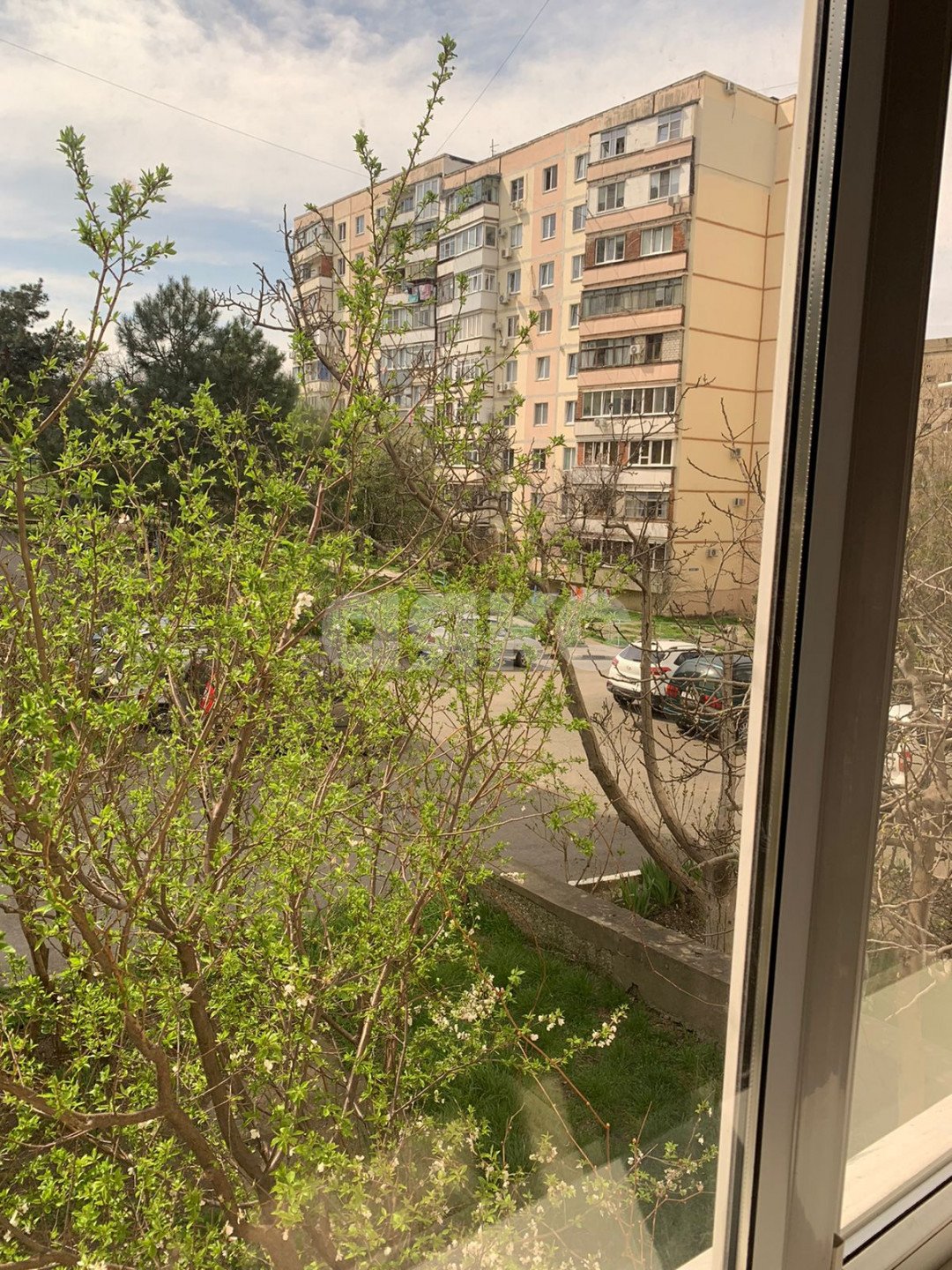 Фото №16: 3-комнатная квартира 66 м² - Геленджик, Парус, 12