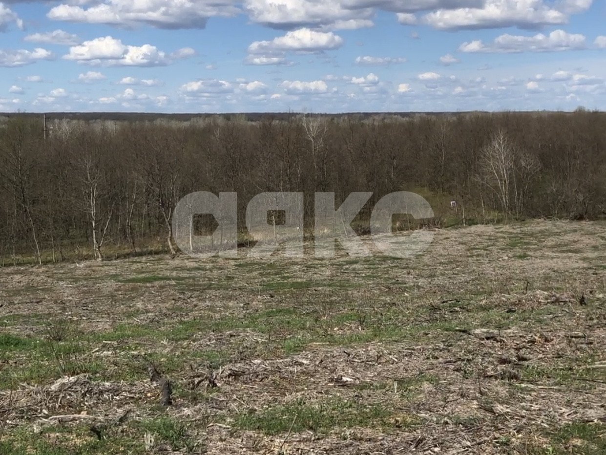 Фото №5: Личное подсобное хозяйство 8 сот. - Горячий Ключ, Развилка, ул. Станичная