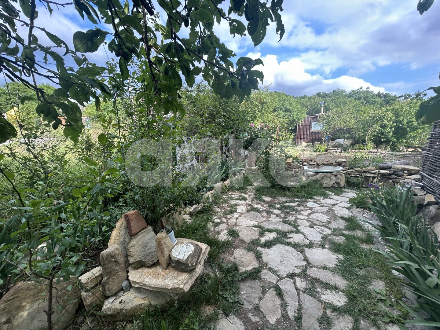 Фото №6: Участок садоводство 5.32 сот. - СНТ Парус, 3 квартал, 244