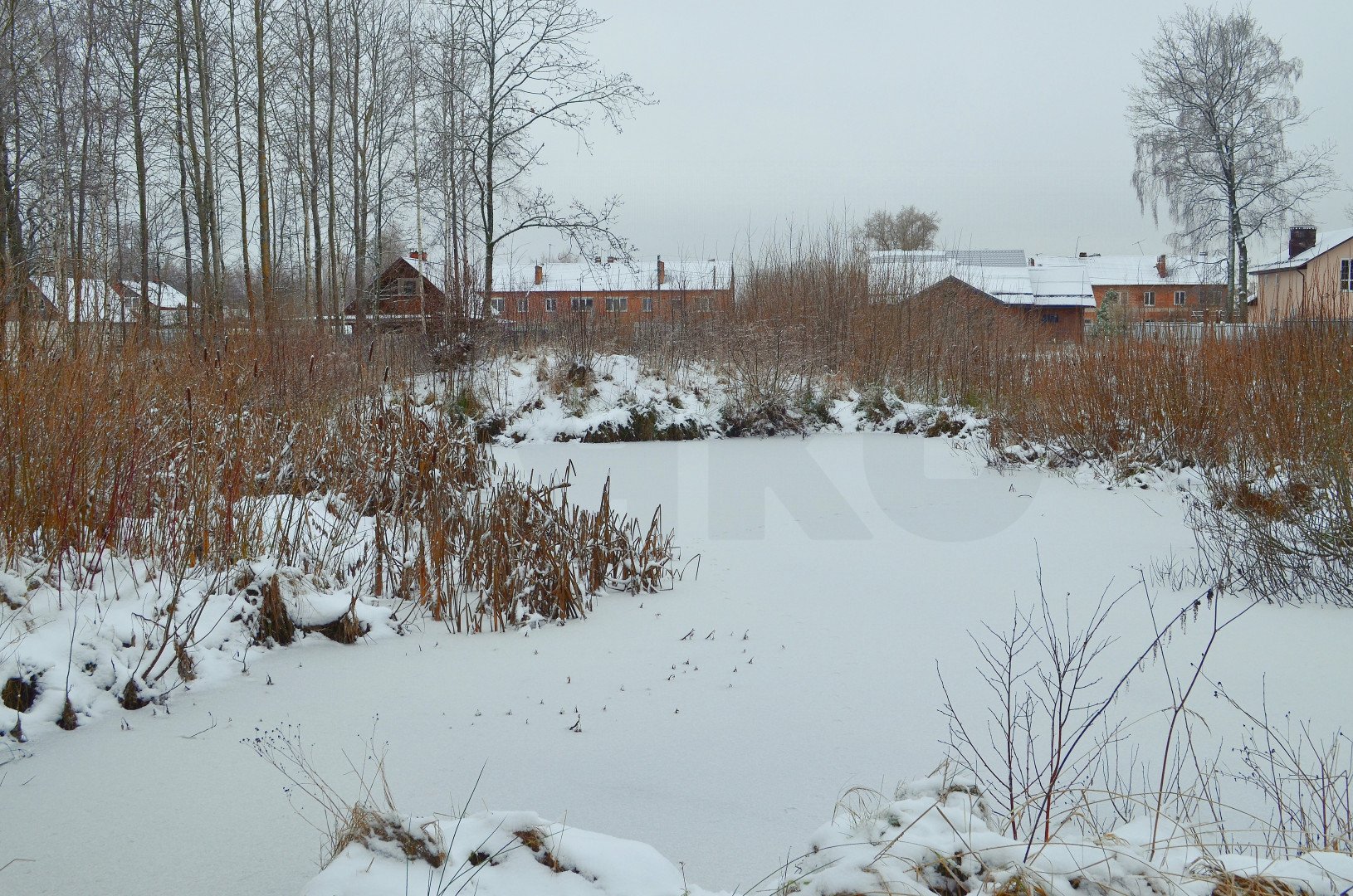 Фото №7: Личное подсобное хозяйство 41 сот. - Рай, 