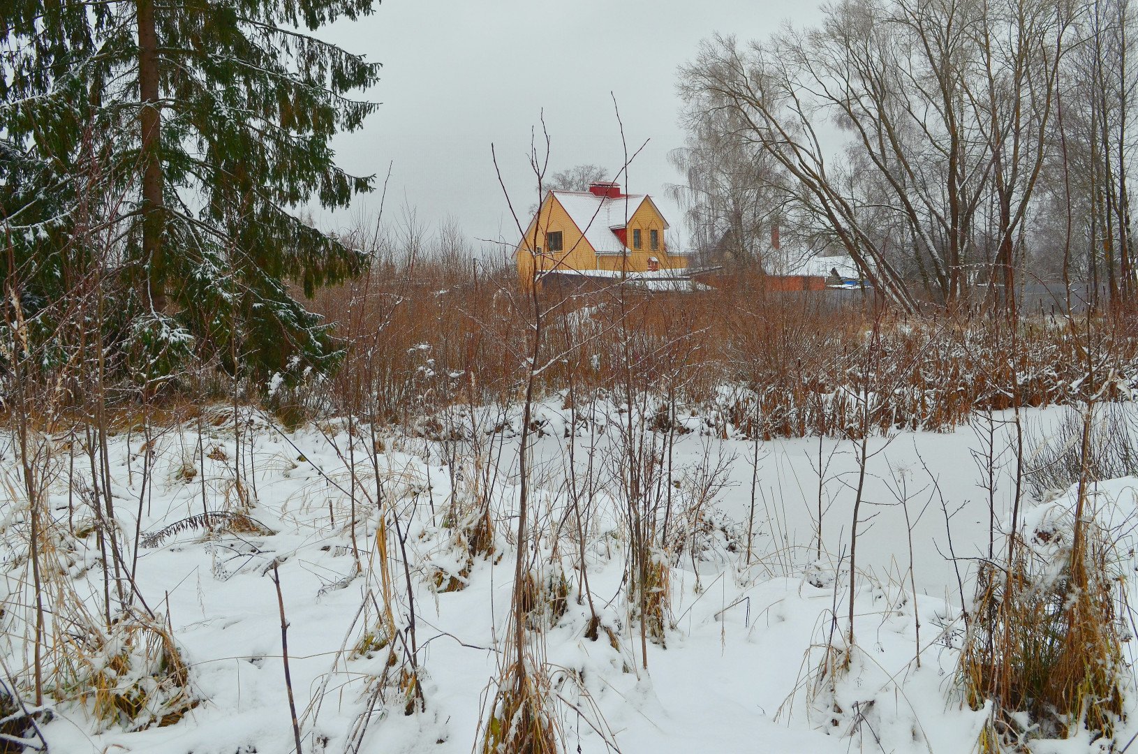 Фото №8: Личное подсобное хозяйство 41 сот. - Рай, 