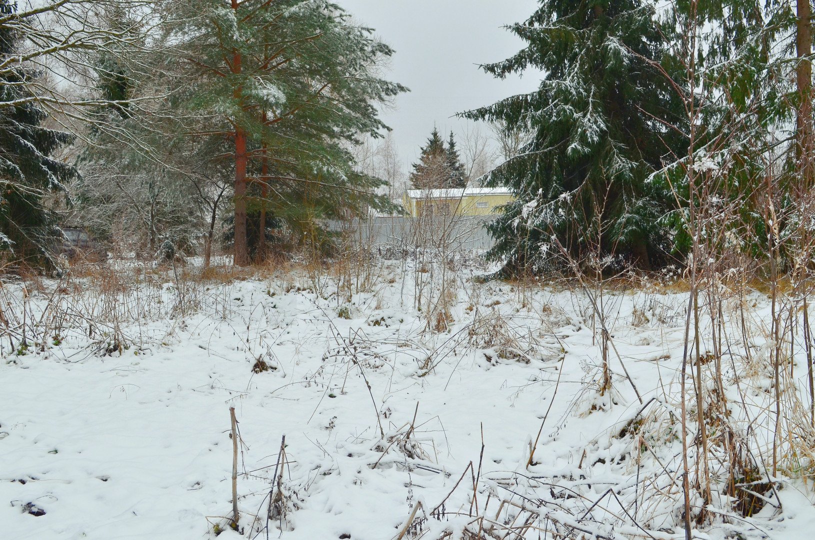 Фото №6: Личное подсобное хозяйство 41 сот. - Рай, 