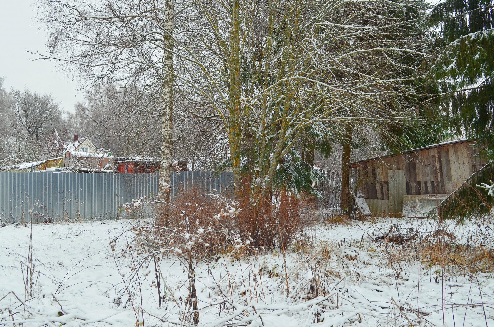 Фото №4: Личное подсобное хозяйство 41 сот. - Рай, 