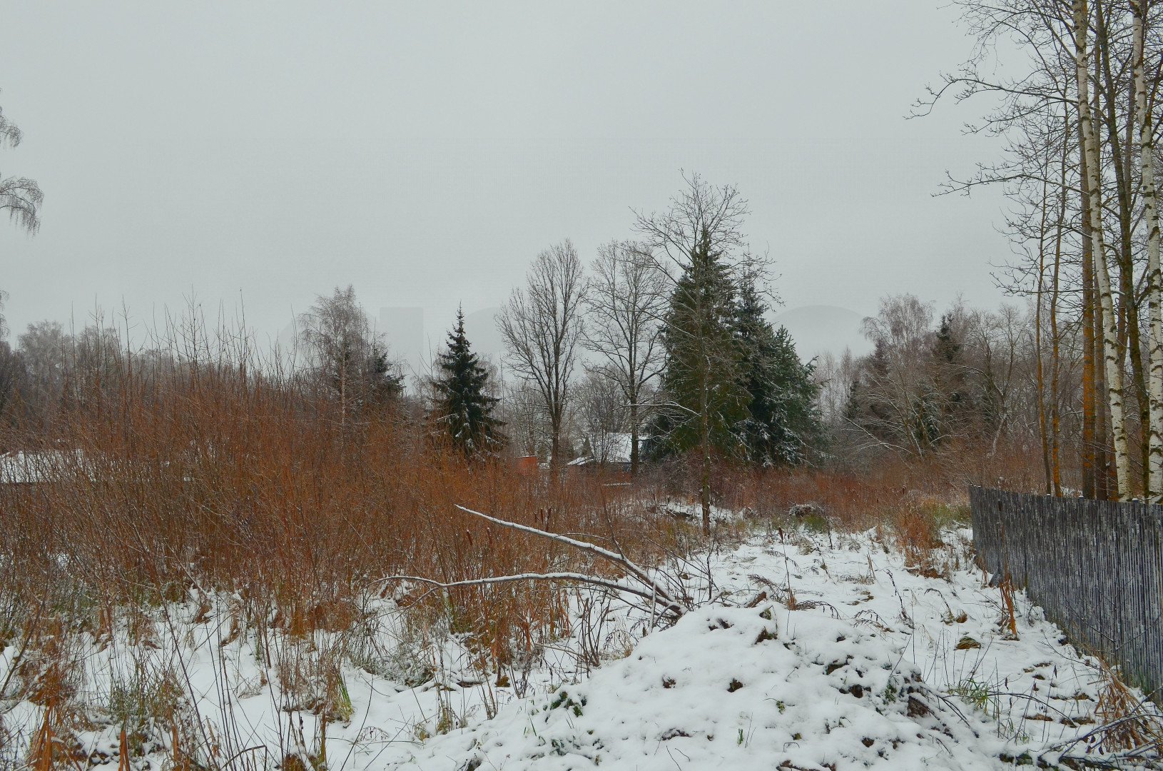 Фото №15: Личное подсобное хозяйство 41 сот. - Рай, 