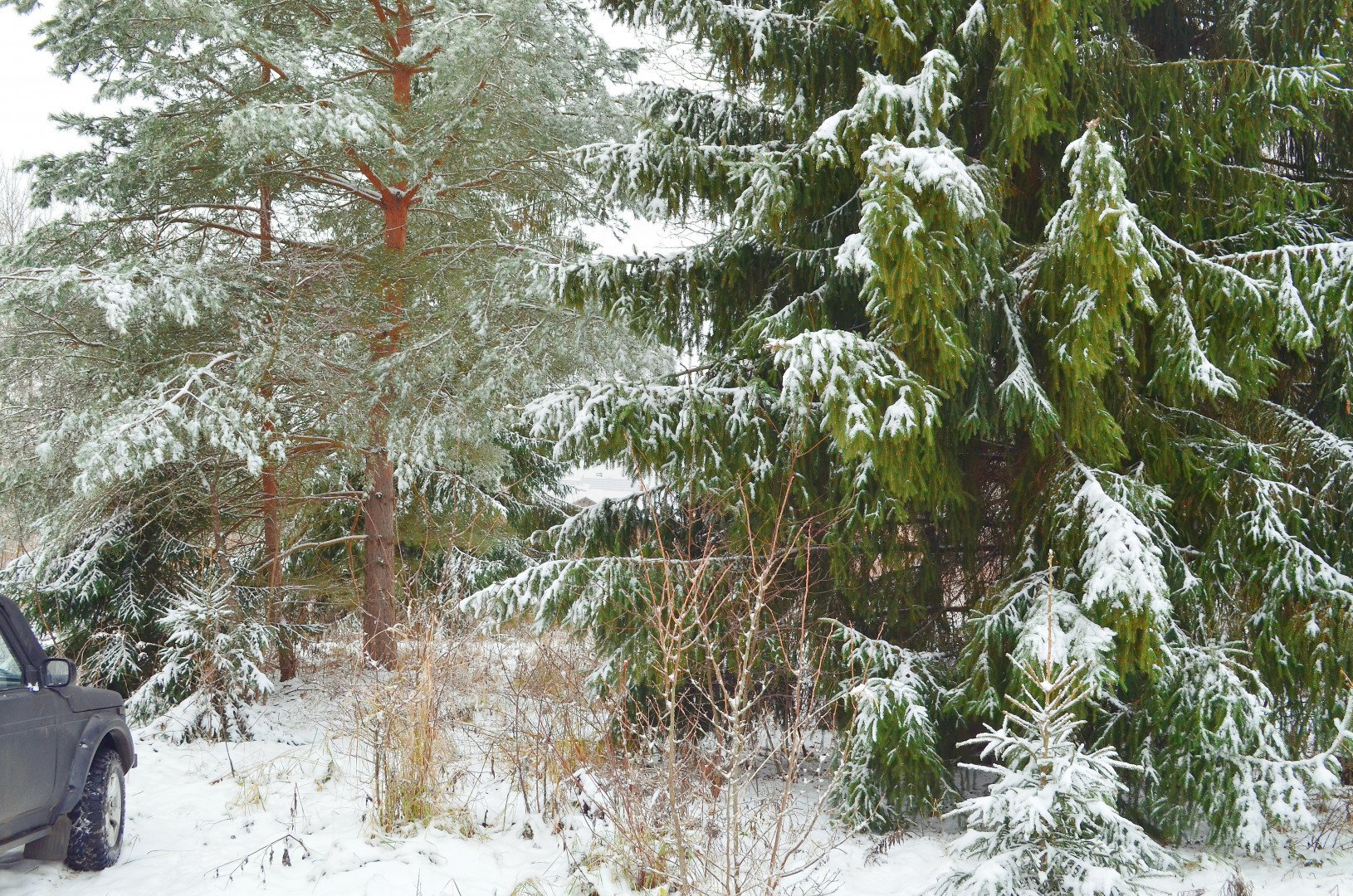 Фото №11: Личное подсобное хозяйство 41 сот. - Рай, 