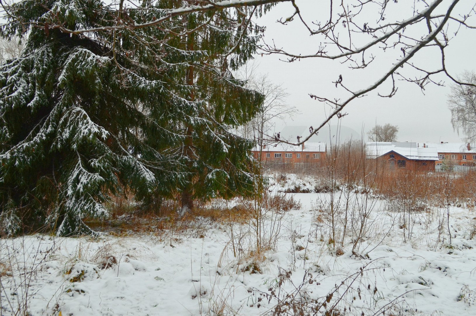 Фото №10: Личное подсобное хозяйство 41 сот. - Рай, 