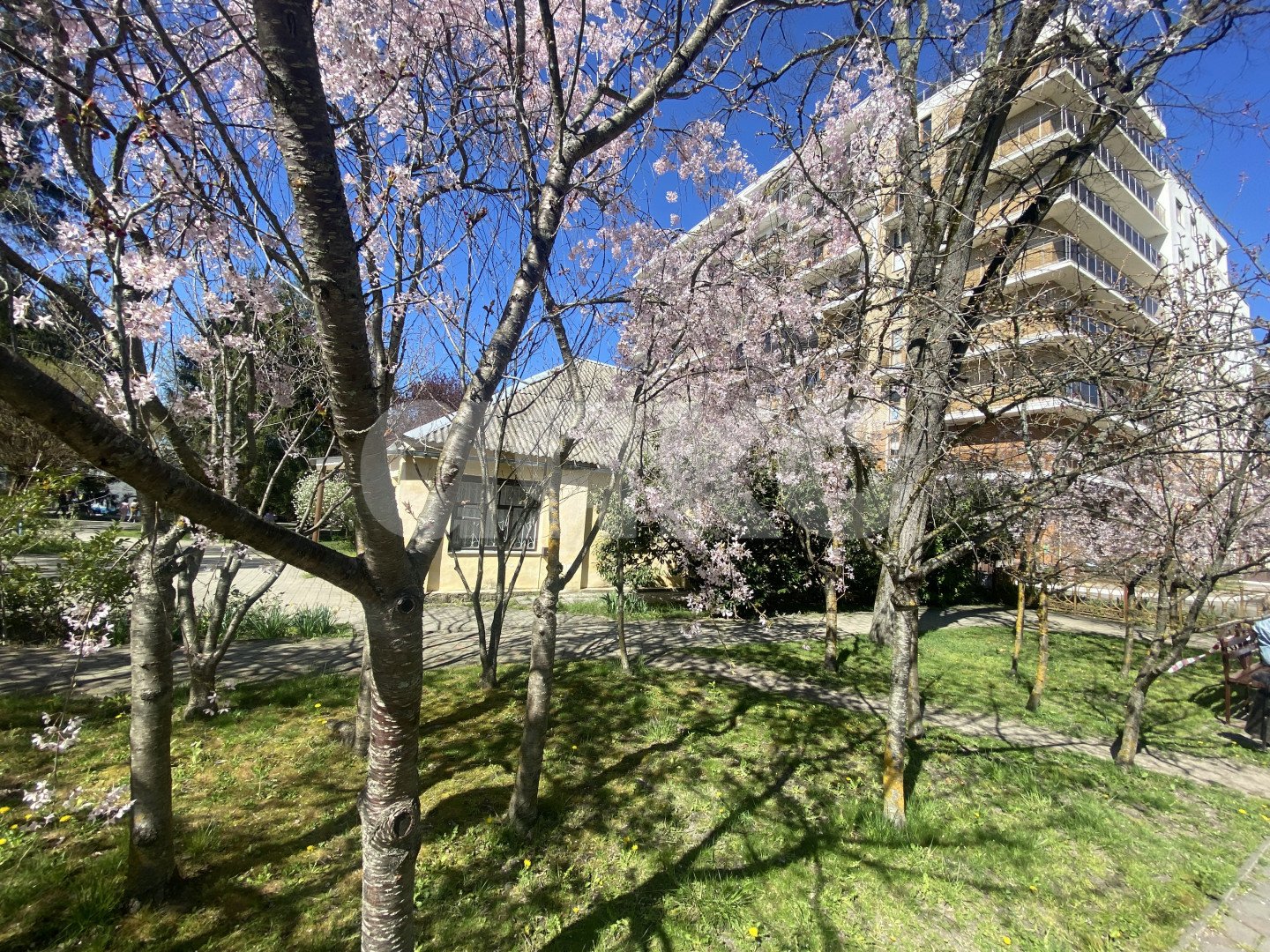 Фото №24: 3-комнатная квартира 85 м² - Горячий Ключ, Курортная Зона, ул. Ленина, 1