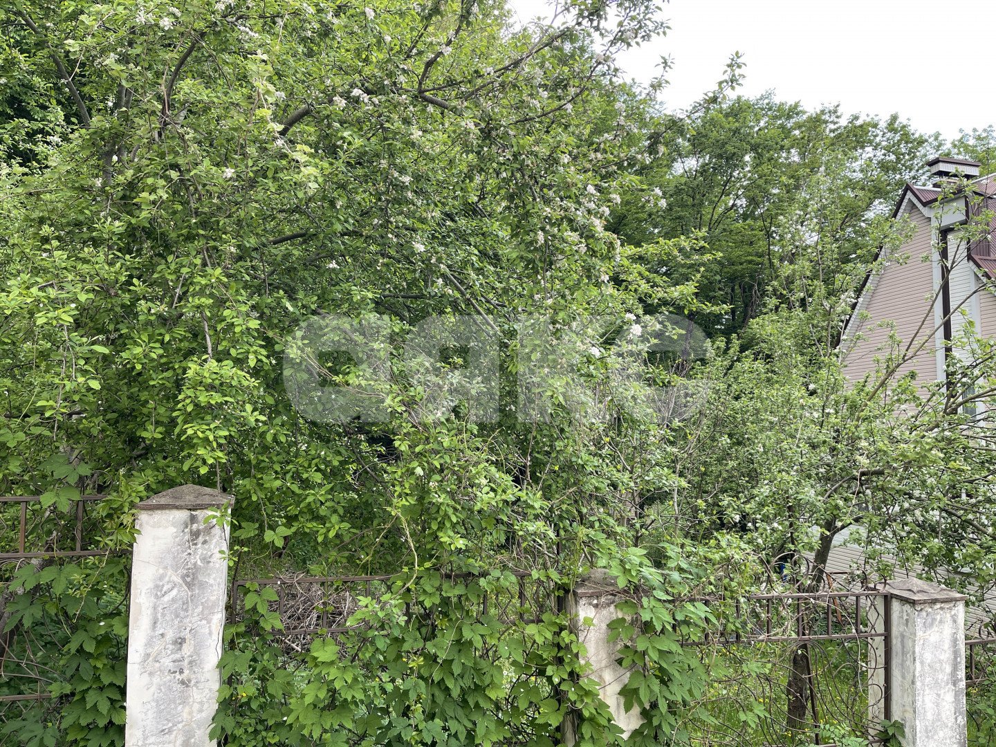 Фото №4: Земельный участок под ИЖС 6.5 сот. - Горячий Ключ, Старый Рынок, ул. Пушкина