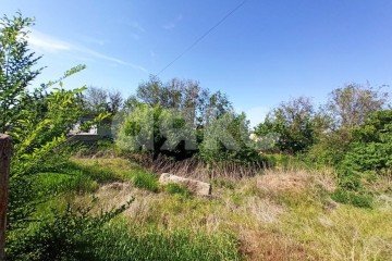 Фото №4: Земельный участок под ИЖС - Волгоград, п. Северные Баррикады, ул. Товарищеская