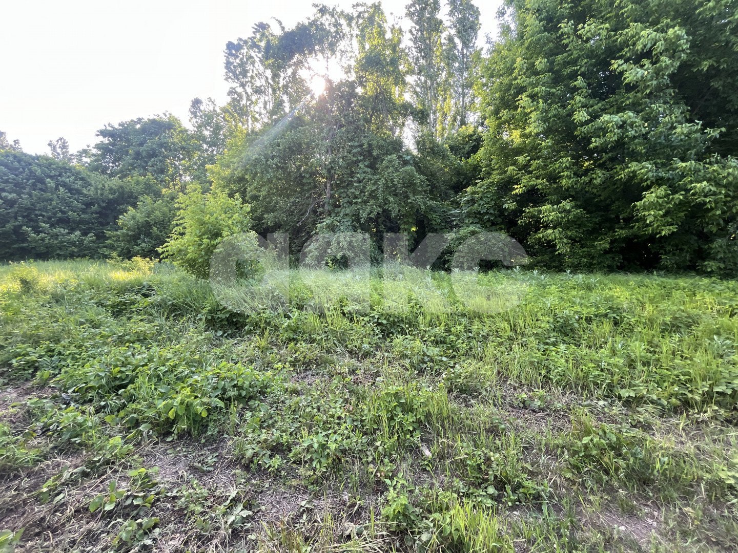 Фото №4: Земельный участок под ИЖС 6 сот. - Саратовская, 4-й, ул. Виноградная